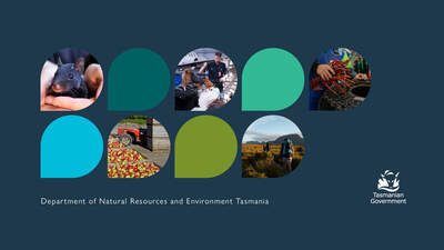 Department of Natural Resources and Environment - logo